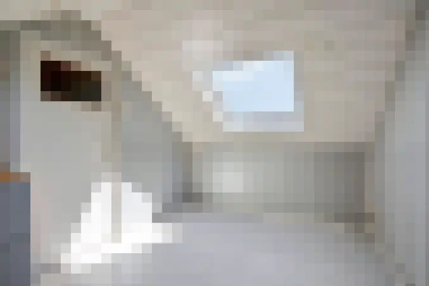 Cederstraat 1 Drunen thumbnail 30