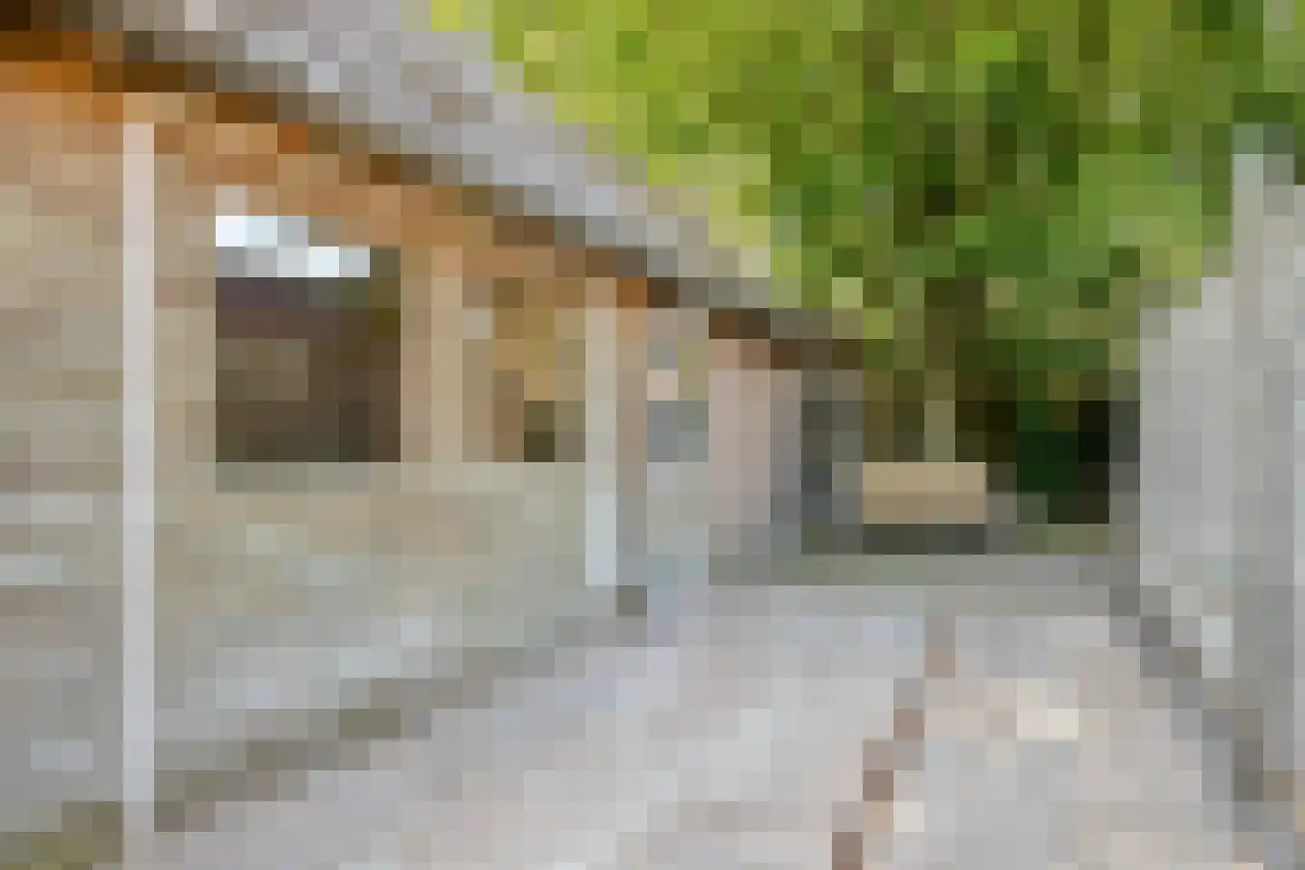 Cederstraat 1 Drunen thumbnail 36