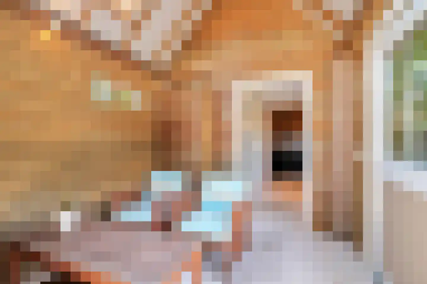 Cederstraat 1 Drunen thumbnail 38