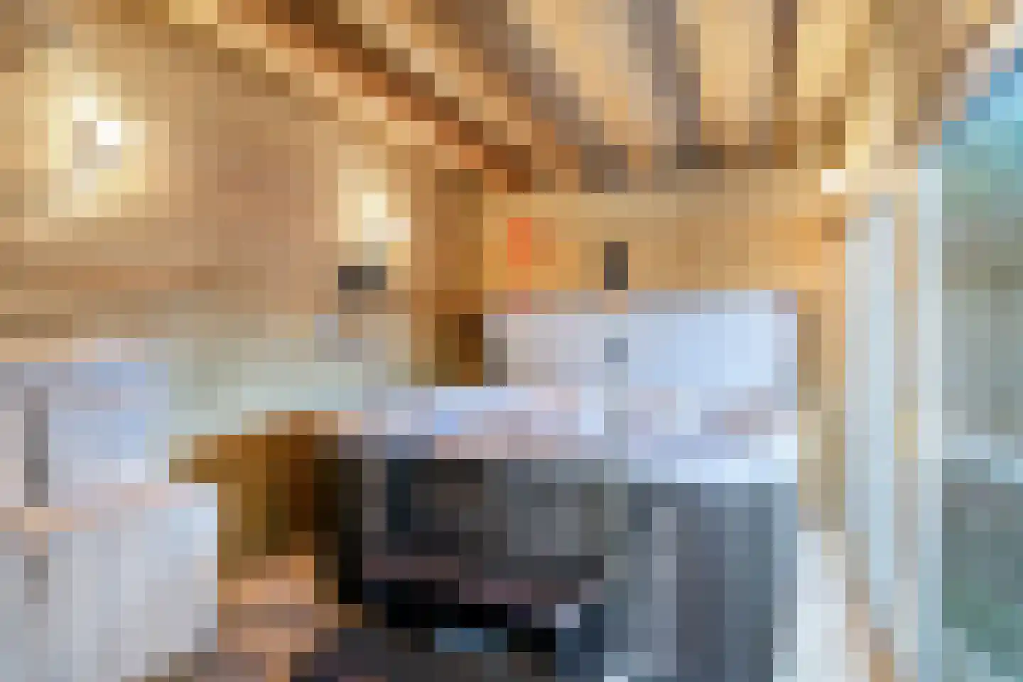 Cederstraat 1 Drunen thumbnail 41