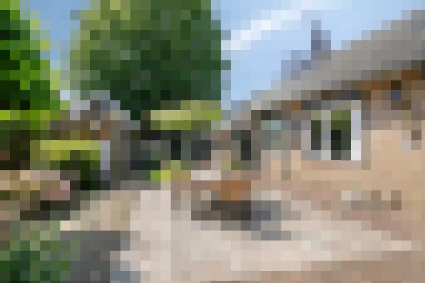 Cederstraat 1 Drunen thumbnail 46
