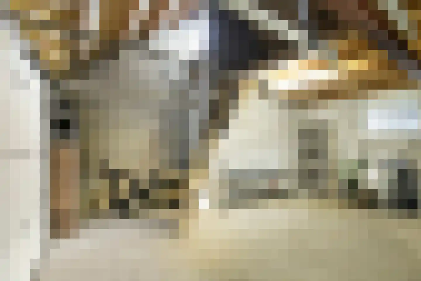 Cederstraat 1 Drunen thumbnail 52