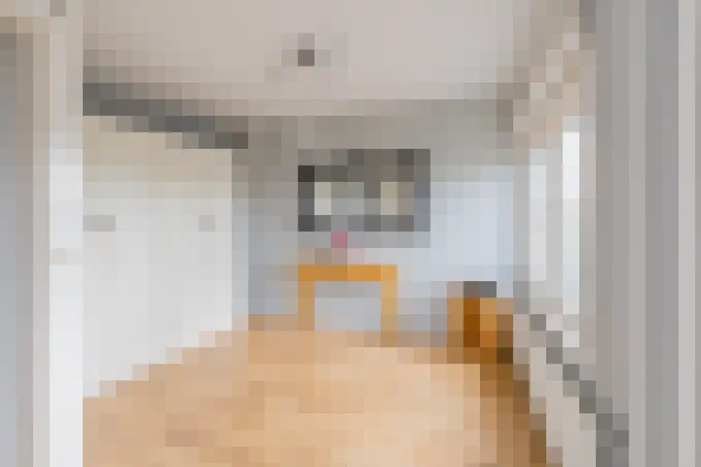 Cederstraat 1 IJmuiden thumbnail 25