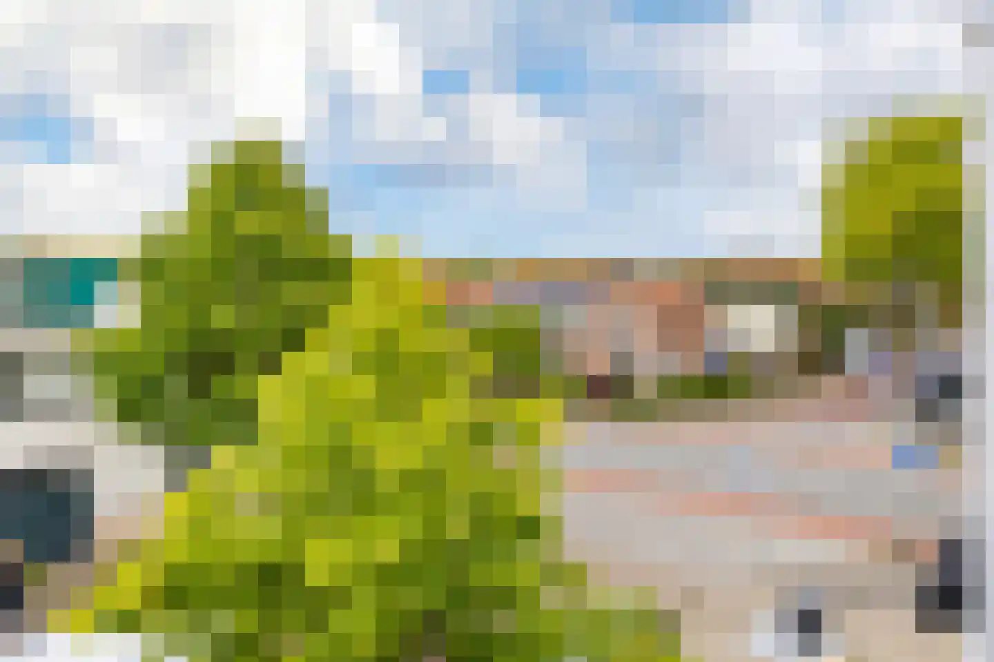 Cederstraat 1 IJmuiden thumbnail 27