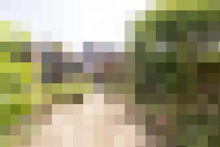Cederstraat 12 Echt thumbnail 15