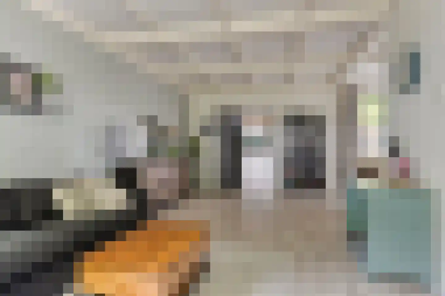 Cederstraat 12 Etten-Leur thumbnail 16