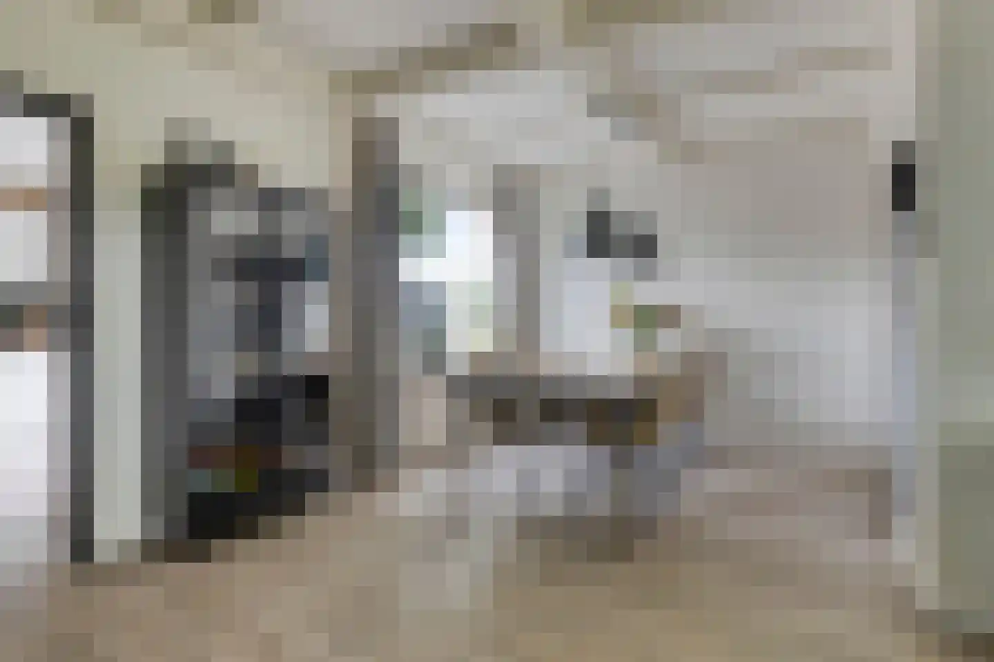 Cederstraat 12 Etten-Leur thumbnail 18