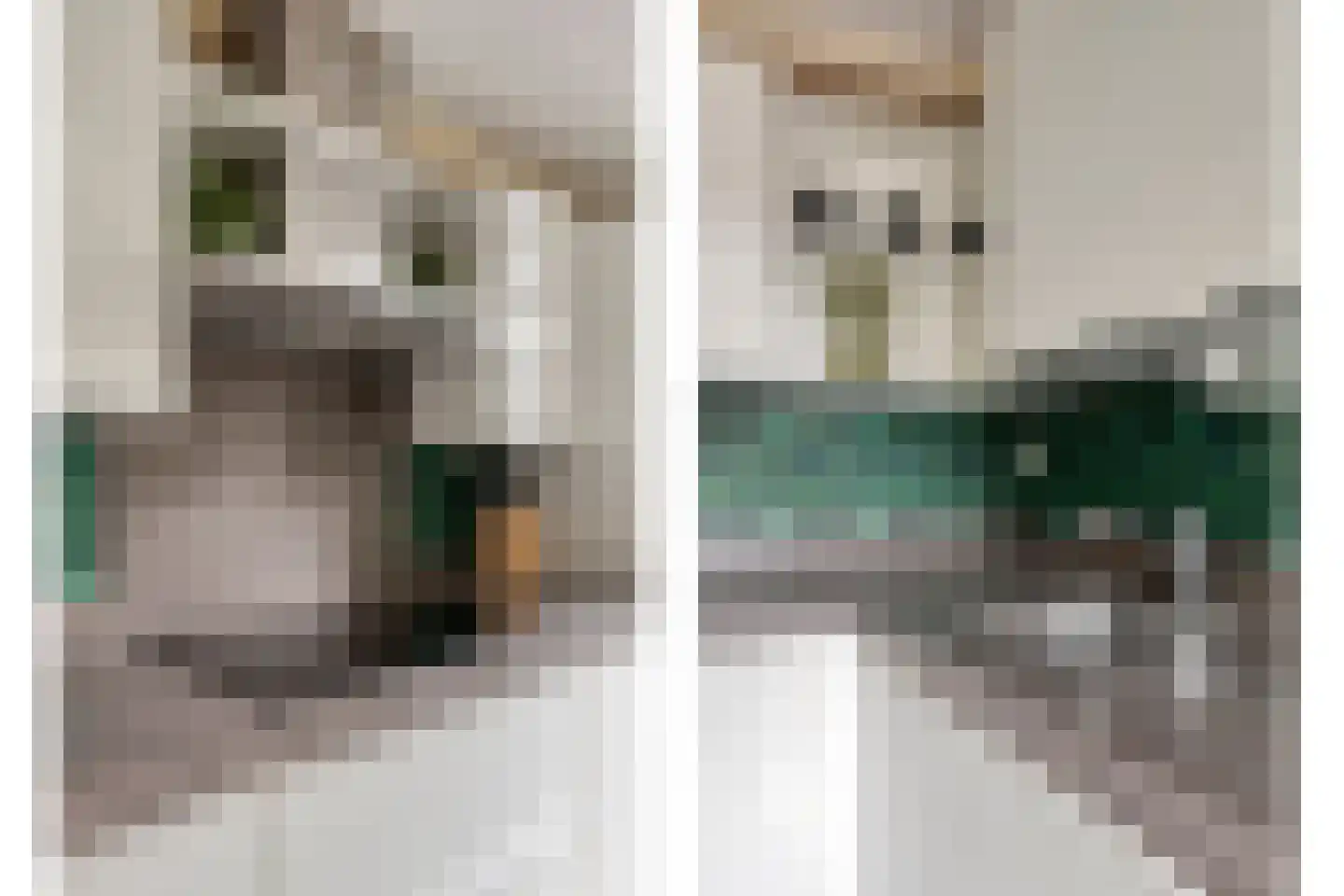 Cederstraat 12 Etten-Leur thumbnail 22