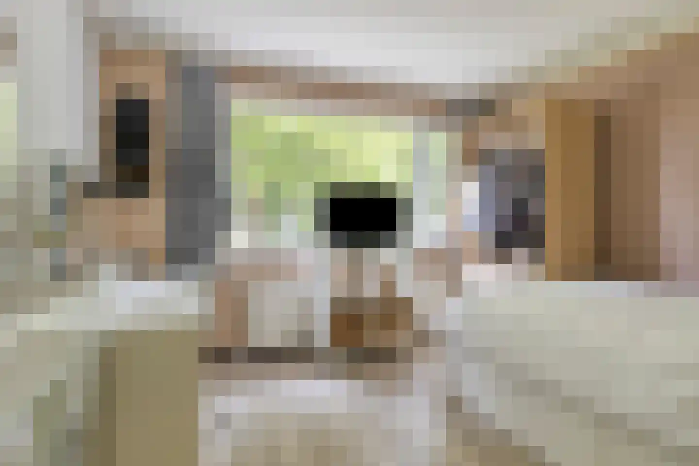 Cederstraat 12 Etten-Leur thumbnail 26