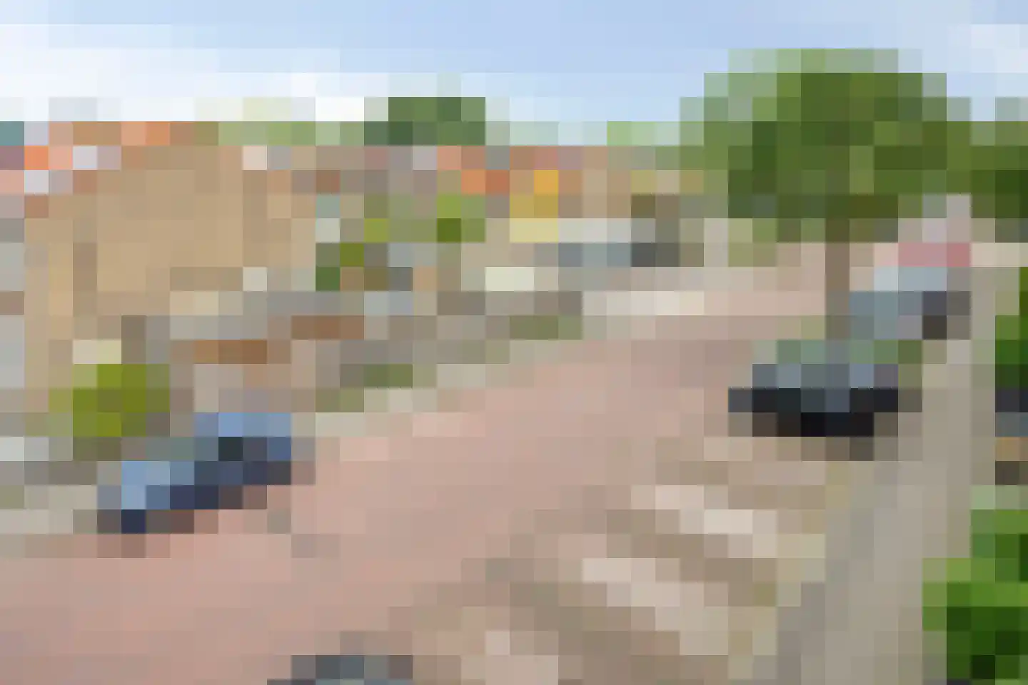 Cederstraat 123 Alphen aan den Rijn thumbnail 34