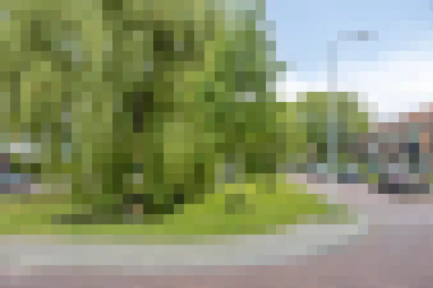 Cederstraat 123 Alphen aan den Rijn thumbnail 37