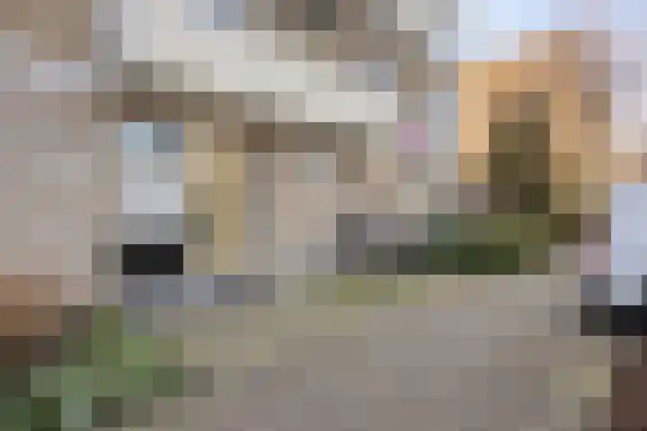Cederstraat 125 Alphen aan den Rijn thumbnail 30