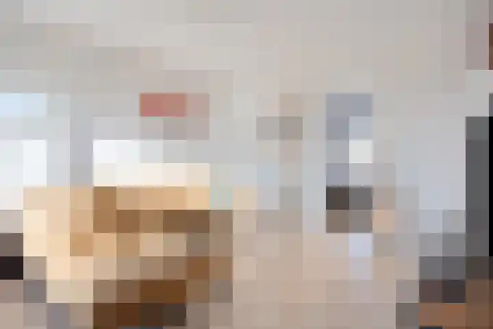 Cederstraat 125 Alphen aan den Rijn thumbnail 8
