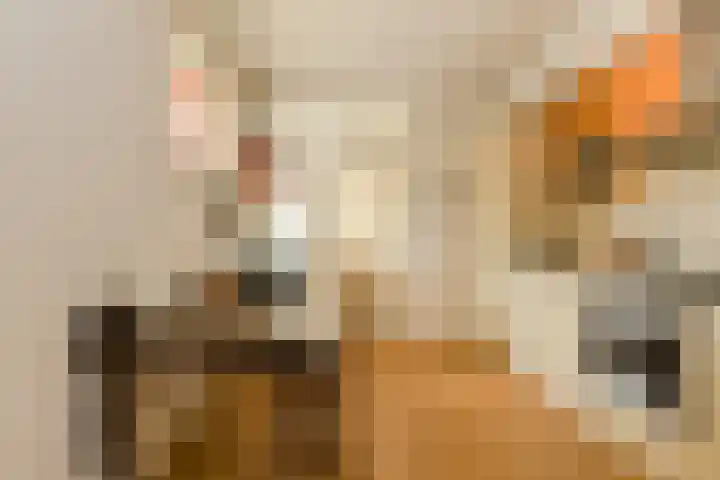 Cederstraat 13 Dorst thumbnail 19