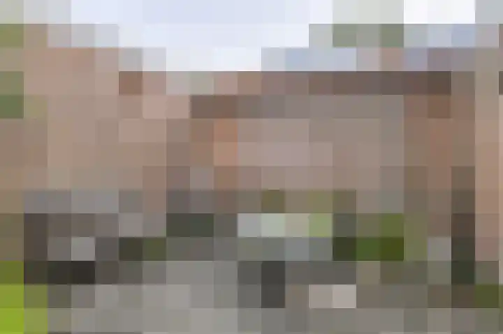 Cederstraat 13 Dorst thumbnail 5