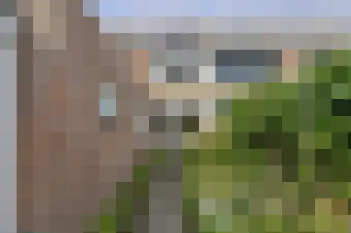 Cederstraat 13 Dorst thumbnail 51