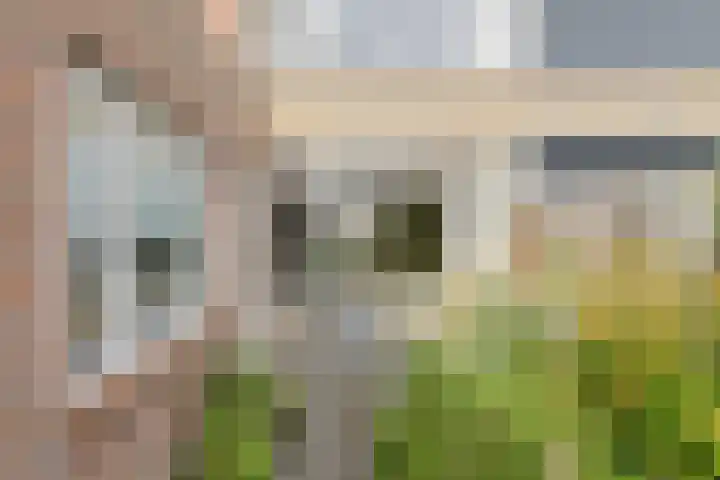 Cederstraat 13 Dorst thumbnail 52