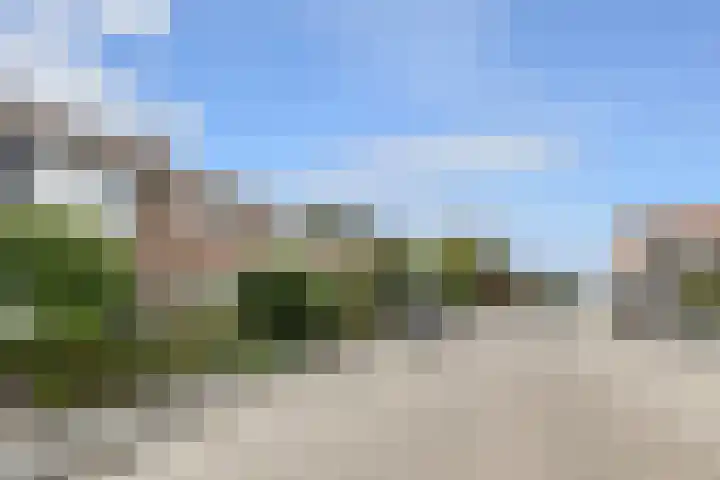 Cederstraat 13 Dorst thumbnail 7