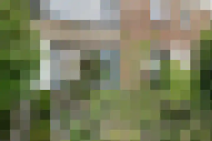 Cederstraat 13 Dorst thumbnail 8