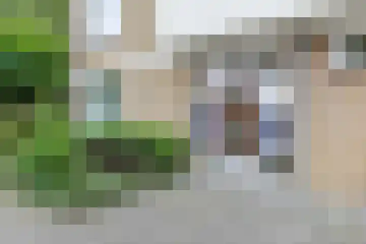 Cederstraat 137 Alphen aan den Rijn thumbnail 4