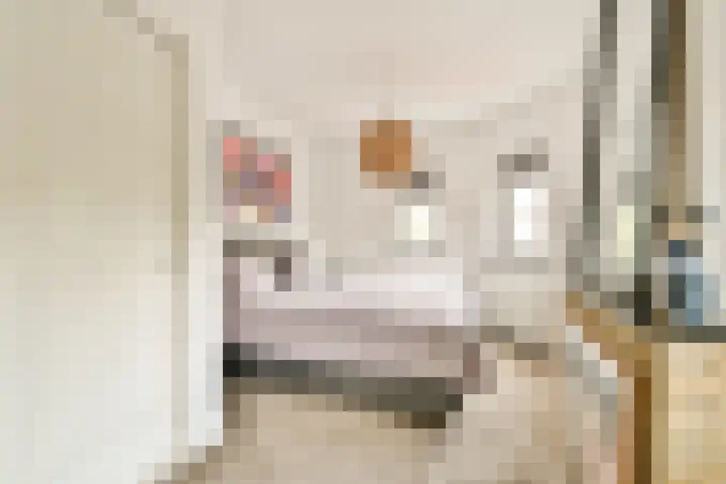 Cederstraat 14 Haarlem thumbnail 16