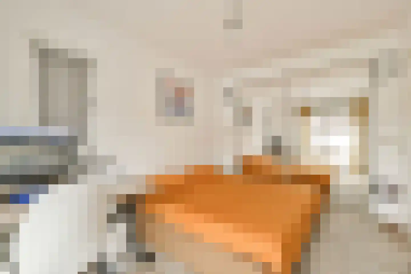 Cederstraat 14 Haarlem thumbnail 20