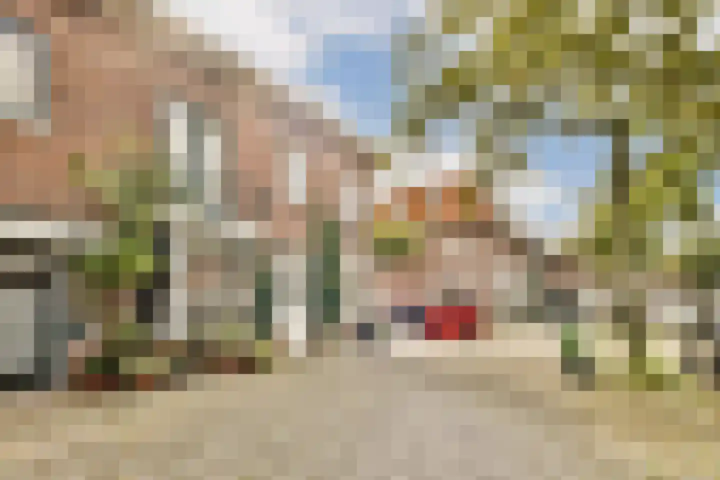 Cederstraat 14 Haarlem thumbnail 25