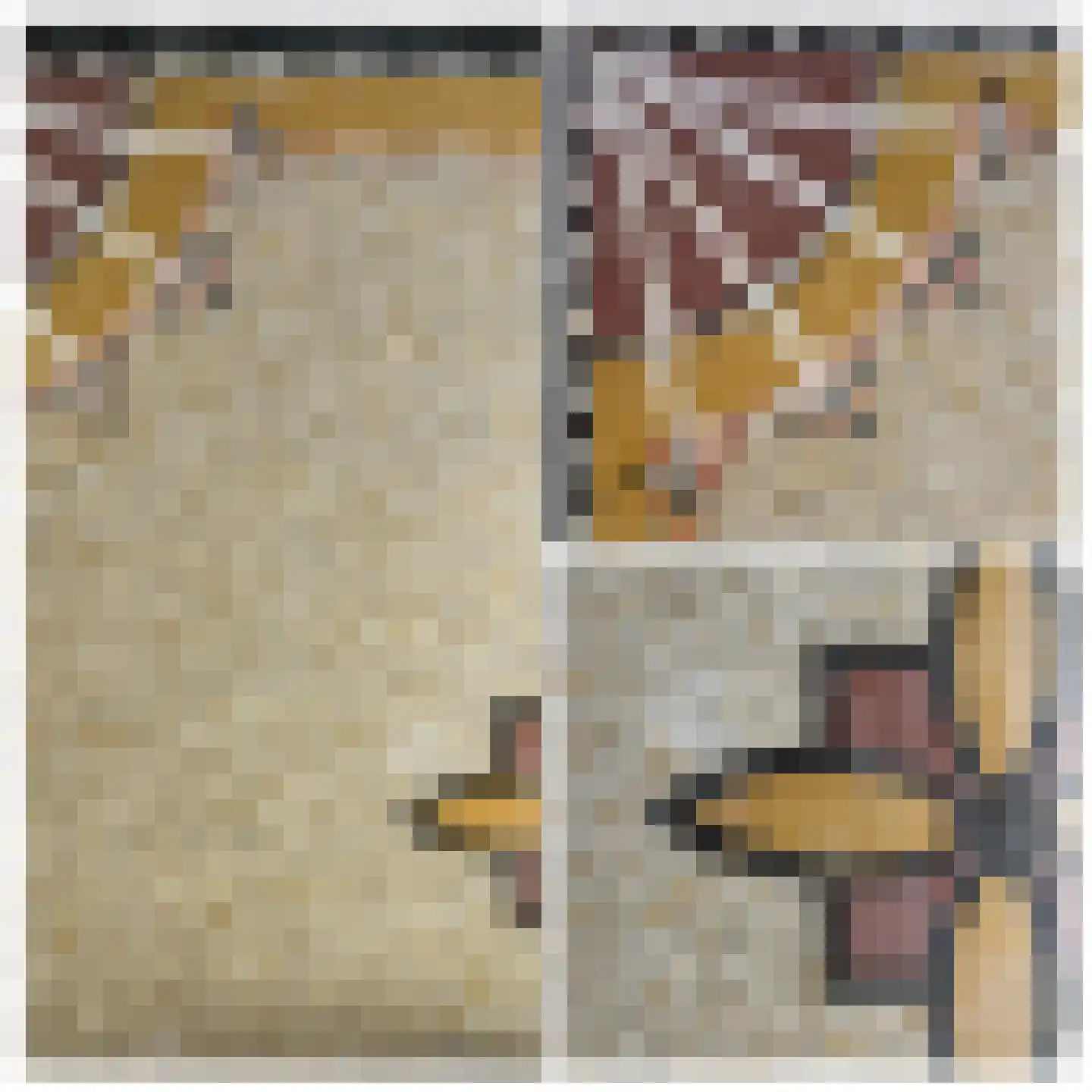 Cederstraat 14 Haarlem thumbnail 7