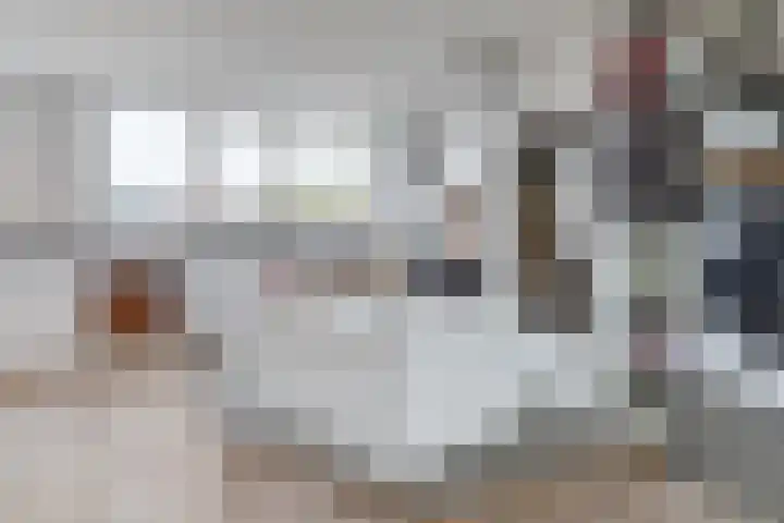 Cederstraat 14 Waalwijk thumbnail 20