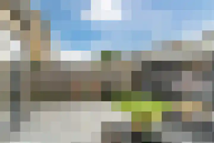 Cederstraat 14 Waalwijk thumbnail 26