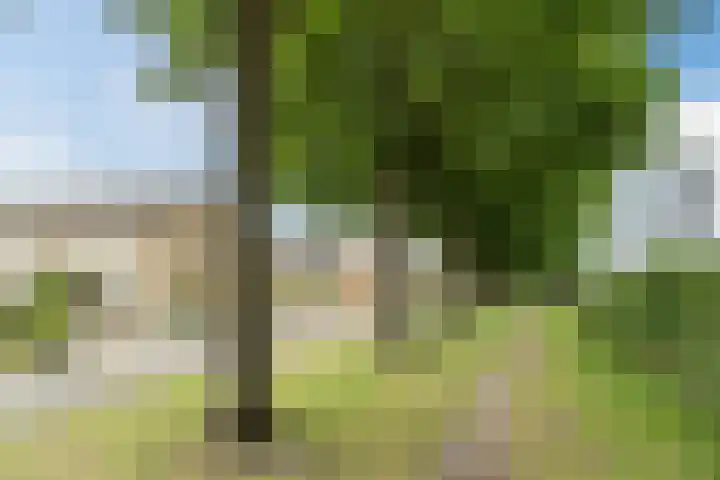 Cederstraat 14 Waalwijk thumbnail 35