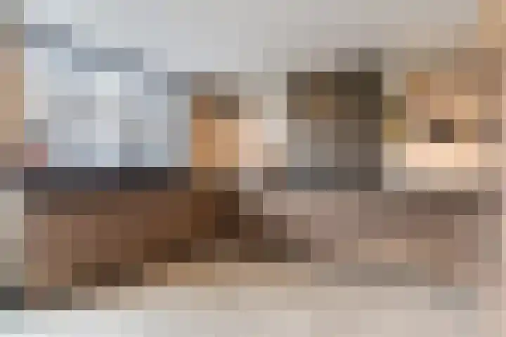 Cederstraat 14 Waalwijk thumbnail 6