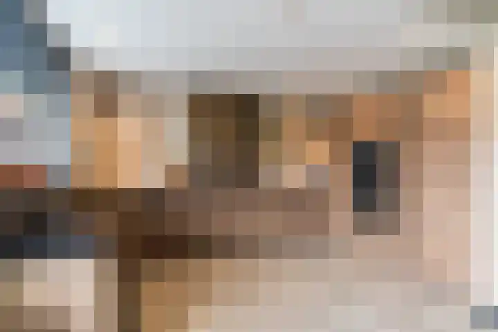 Cederstraat 14 Waalwijk thumbnail 7