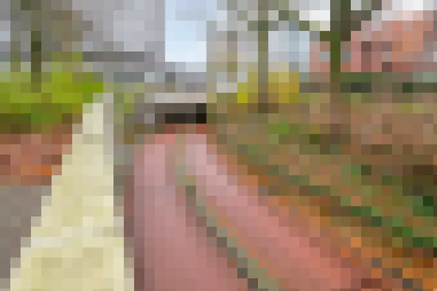 Cederstraat 141 Tilburg thumbnail 33
