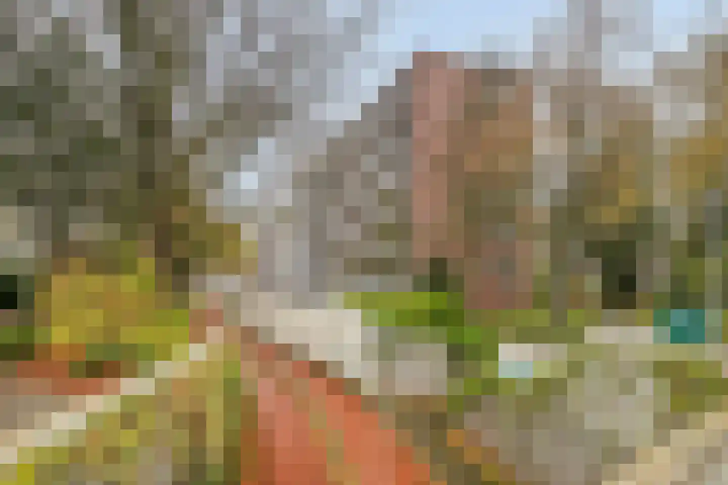 Cederstraat 141 Tilburg thumbnail 7