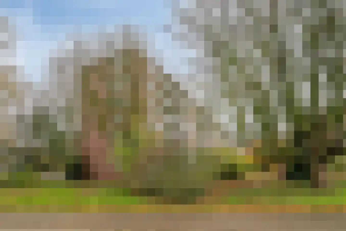 Cederstraat 141 Tilburg thumbnail 8