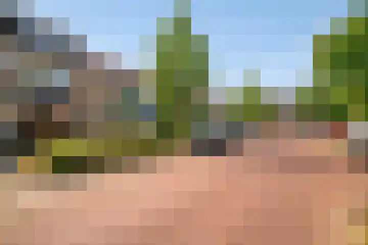 Cederstraat 18 Alphen aan den Rijn thumbnail 5