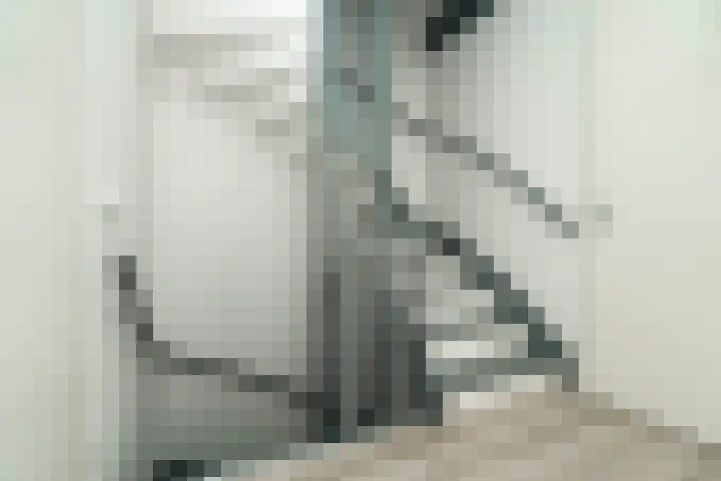 Cederstraat 18 Sterksel thumbnail 28