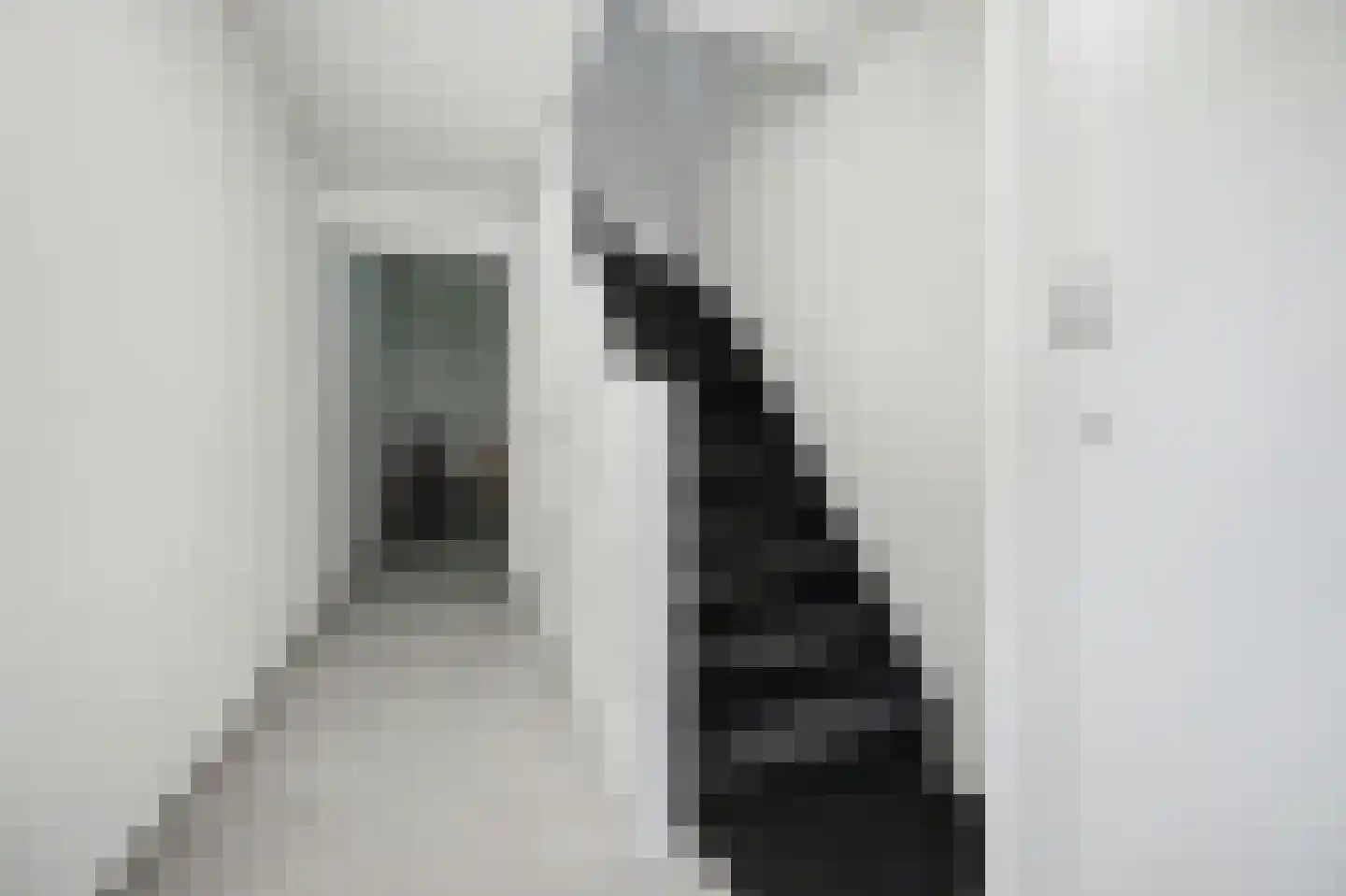 Cederstraat 2 B 's-Hertogenbosch thumbnail 25