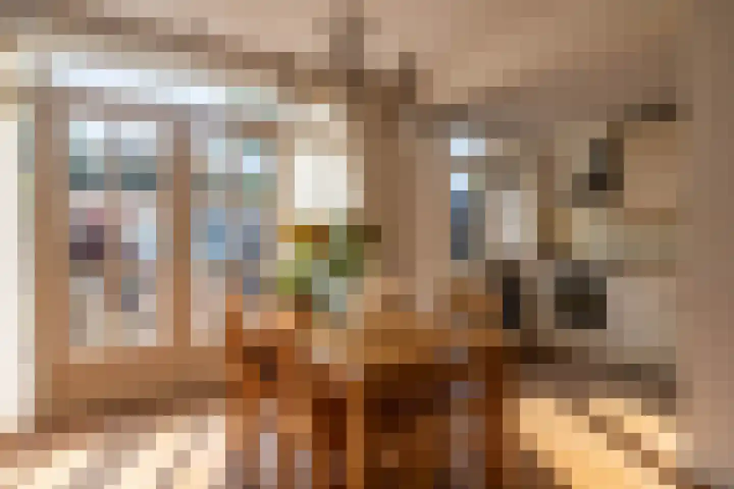 Cederstraat 20 Zaandam thumbnail 10