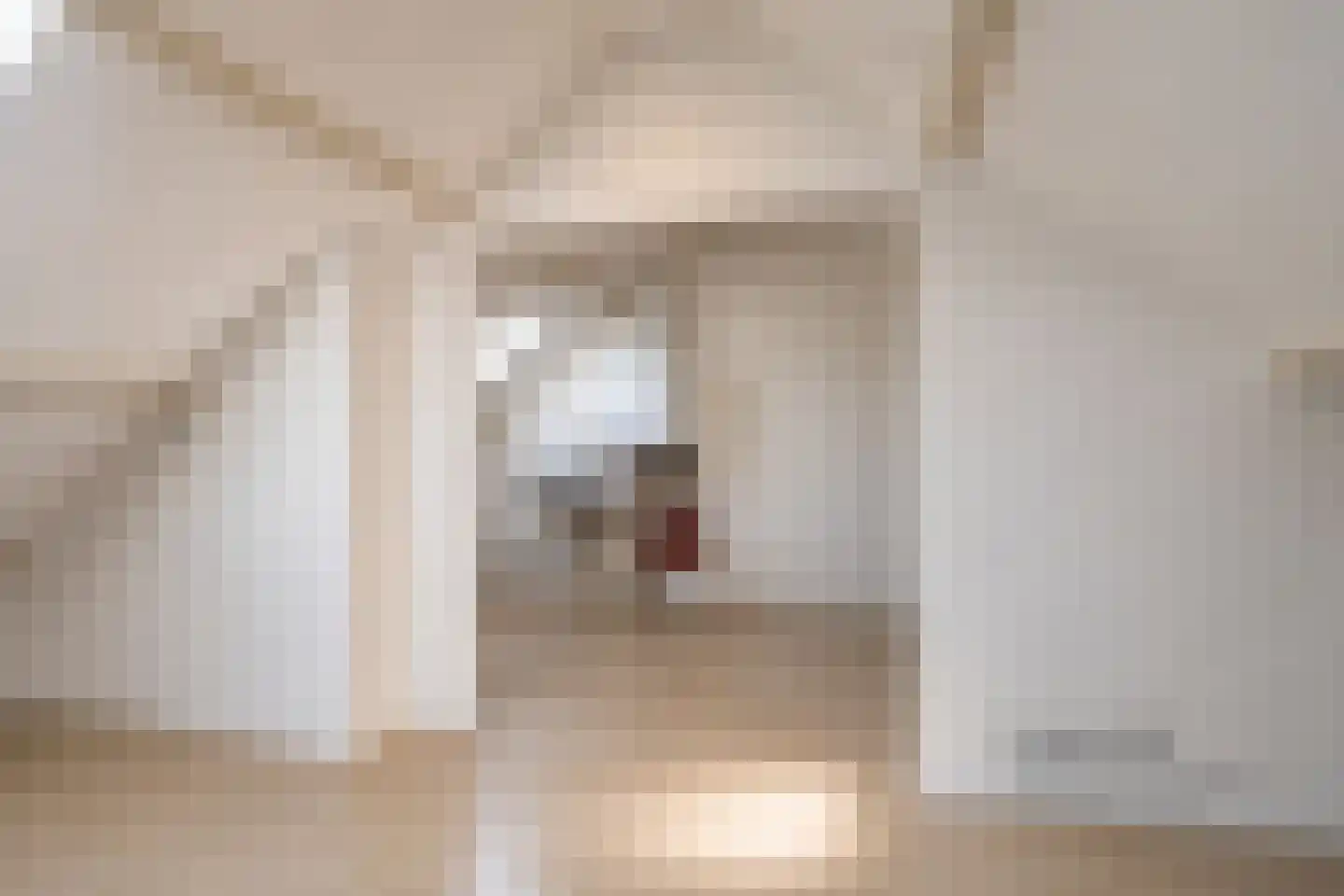 Cederstraat 20 Zaandam thumbnail 26