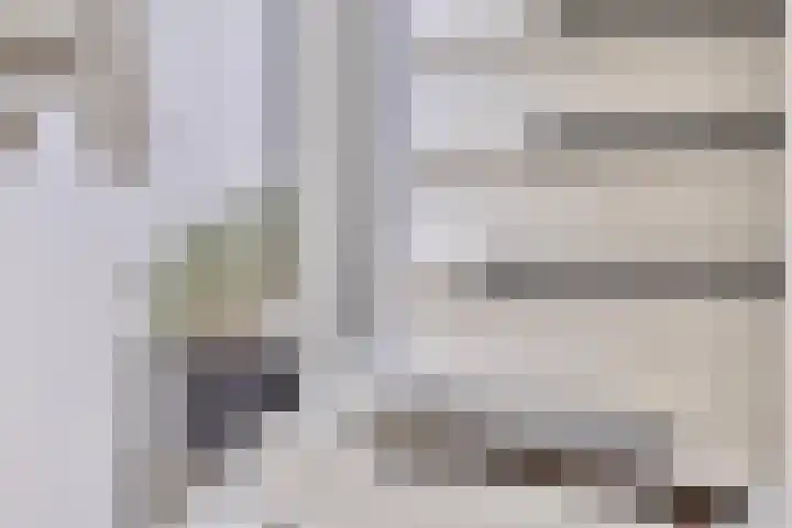 Cederstraat 22 Sterksel thumbnail 11