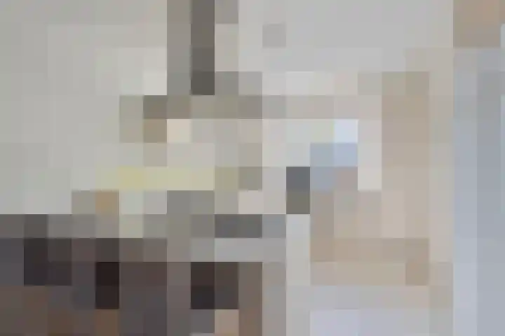 Cederstraat 22 Sterksel thumbnail 16
