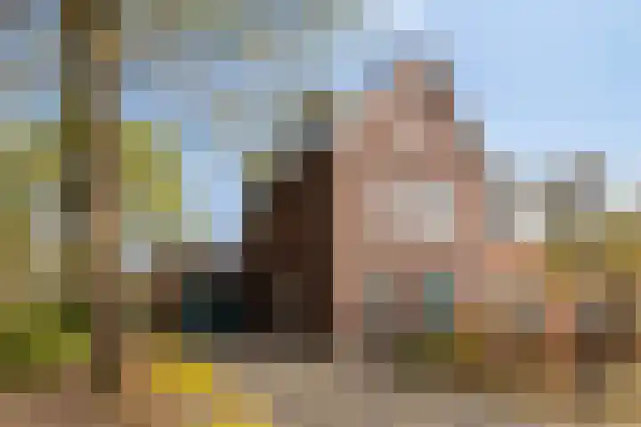 Cederstraat 22 Sterksel thumbnail 18