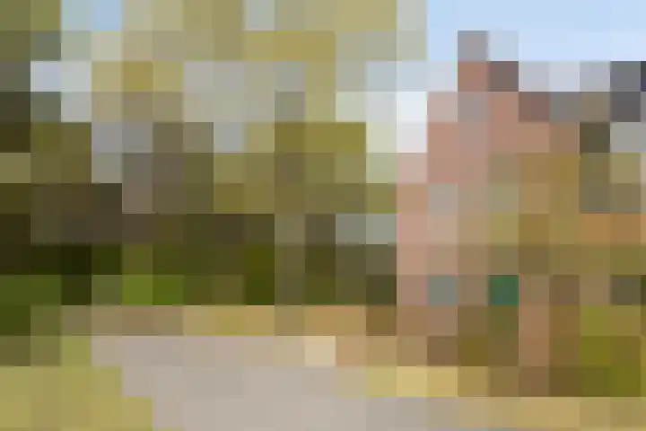 Cederstraat 22 Sterksel thumbnail 19
