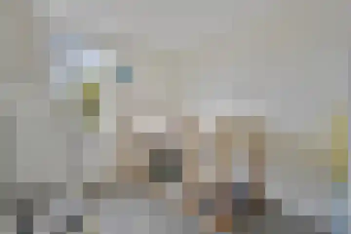 Cederstraat 22 Sterksel thumbnail 24