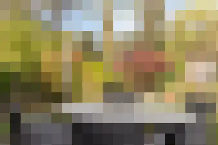 Cederstraat 22 Sterksel thumbnail 34