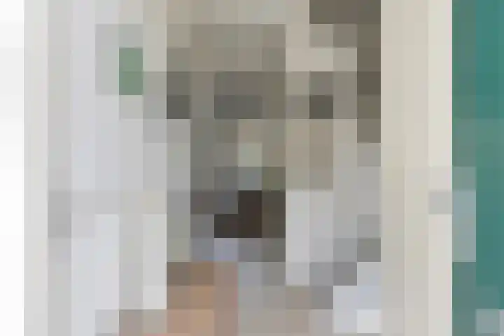 Cederstraat 22 Sterksel thumbnail 8