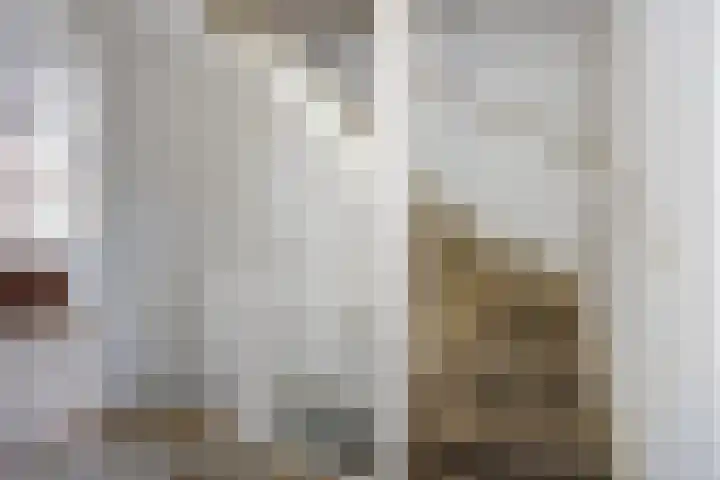 Cederstraat 23 Etten-Leur thumbnail 14