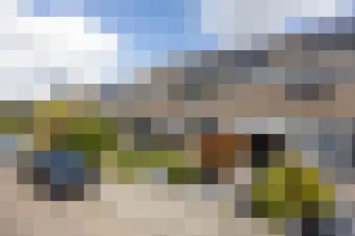 Cederstraat 23 Etten-Leur thumbnail 5